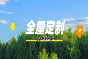 全屋定制包括什么？