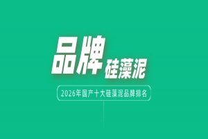 2026年中国十大硅藻泥品牌排名